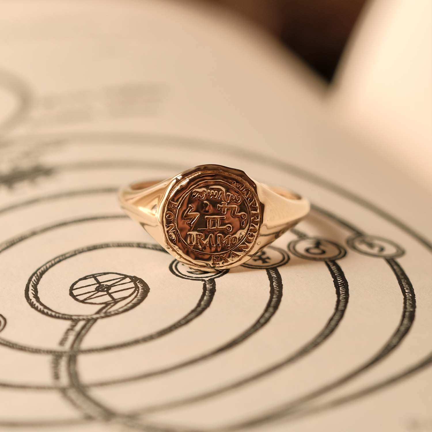 Gemini Signet Ring - COMMON ERA