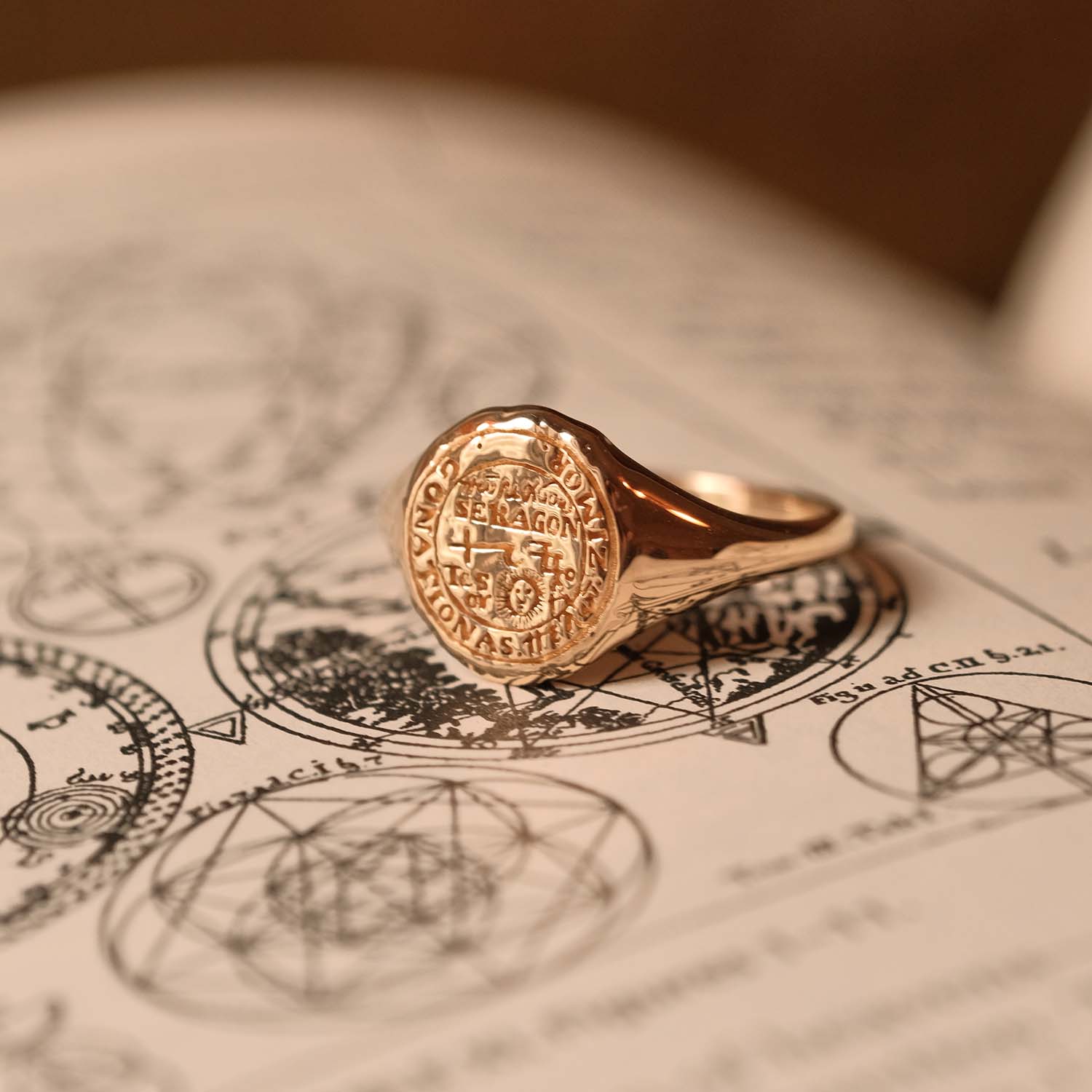 Leo Signet Ring - COMMON ERA