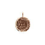 Sagittarius Alchemical Zodiac Pendant |  Necklaces - Common Era Jewelry