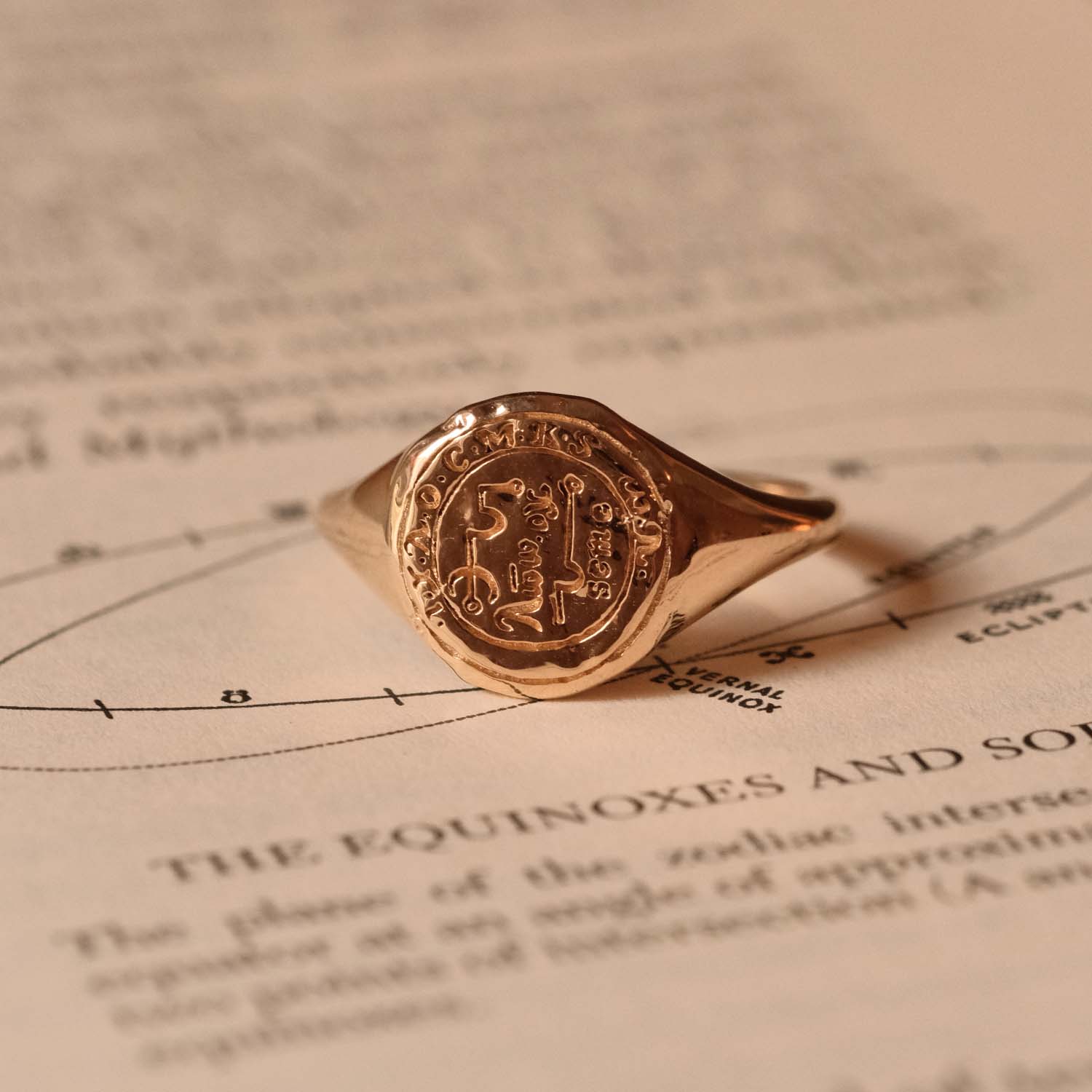 Taurus Signet Ring - COMMON ERA