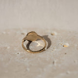 Ancient Scarab Solid Gold Ring |  Rings - Common Era Jewelry