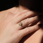 Ancient Scarab Solid Gold Ring |  Rings - Common Era Jewelry