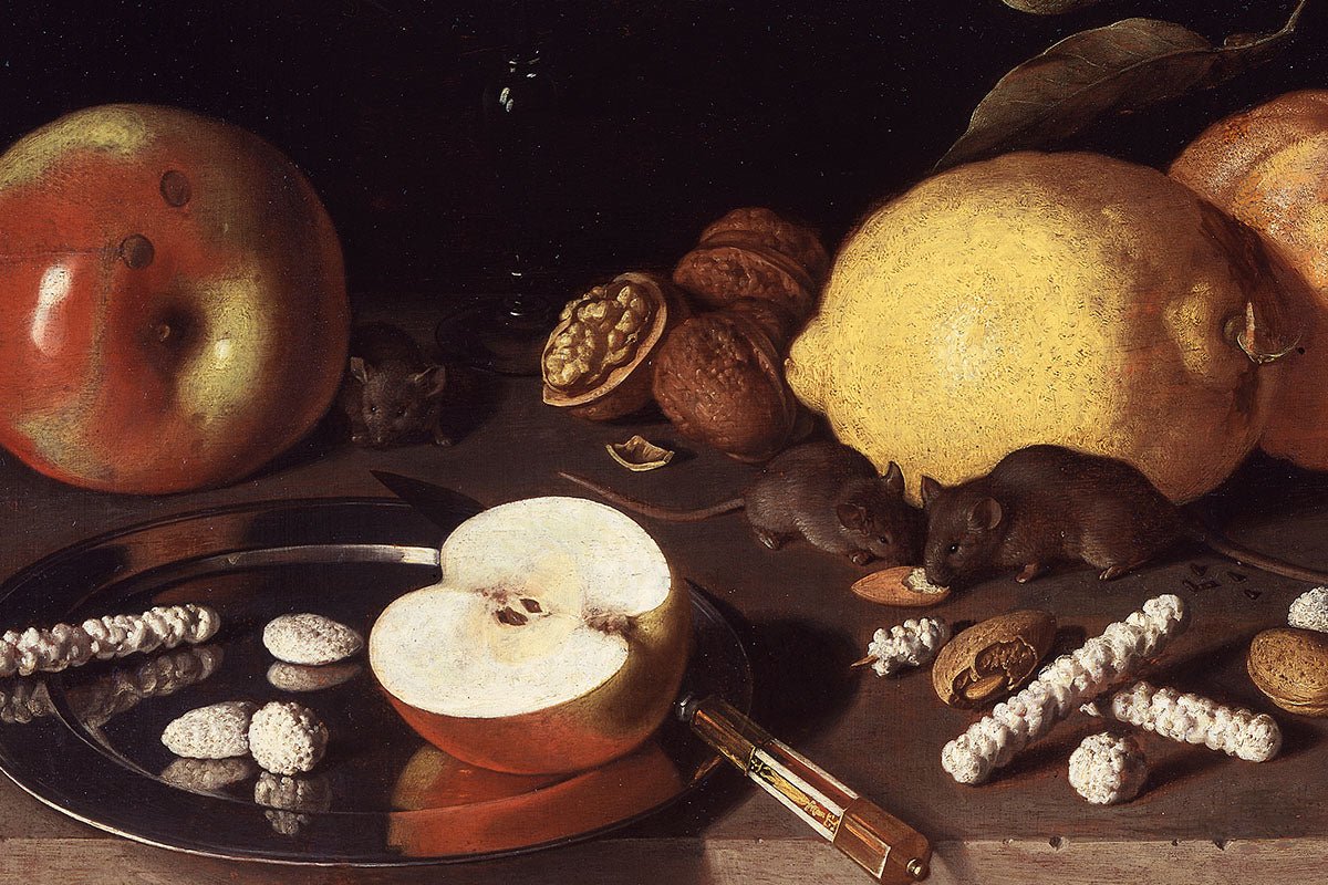 Silphium and Common Ancient Medical Procedures - COMMON ERA