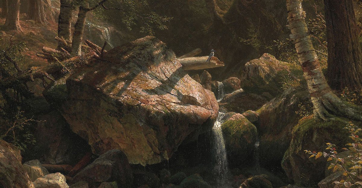 Soul Foraging for the Cluttered Mind - COMMON ERA