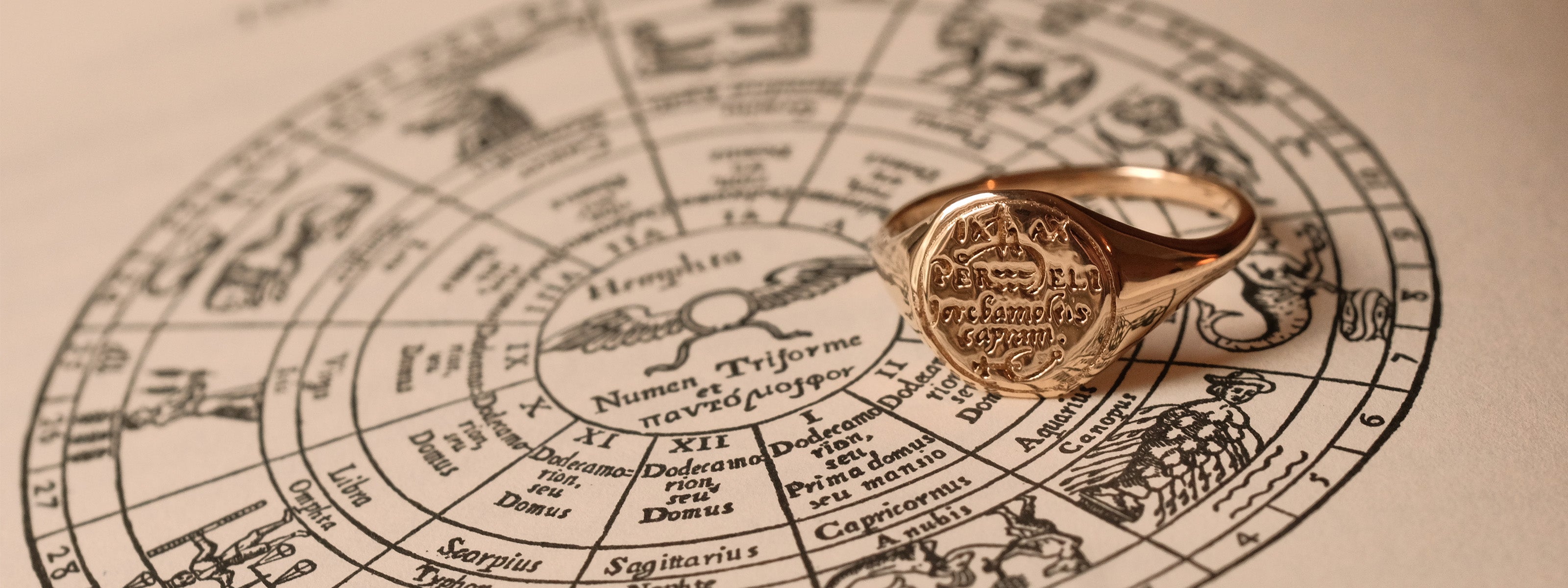 Ready to Ship Solid Gold