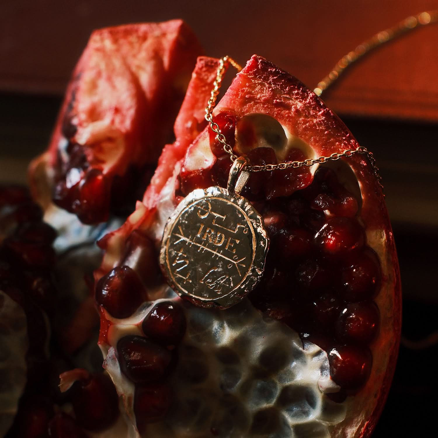 Scorpio Alchemical Zodiac Pendant - COMMON ERA